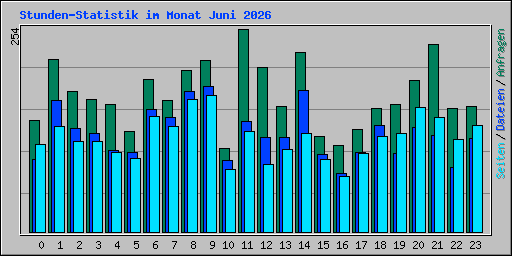 Stunden-Statistik im Monat Juni 2026